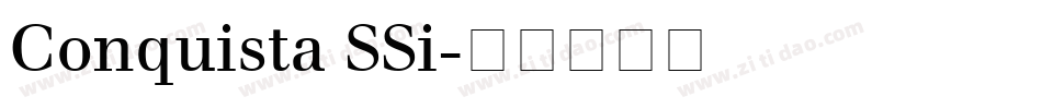 Conquista SSi字体转换